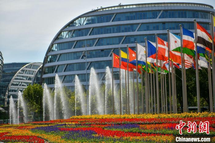 第五屆進(jìn)博會(huì)場(chǎng)館景觀裝飾全面定妝。　陳夢(mèng)澤 攝