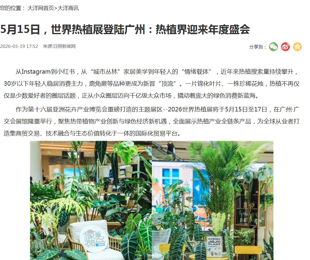 大洋網(wǎng).png
